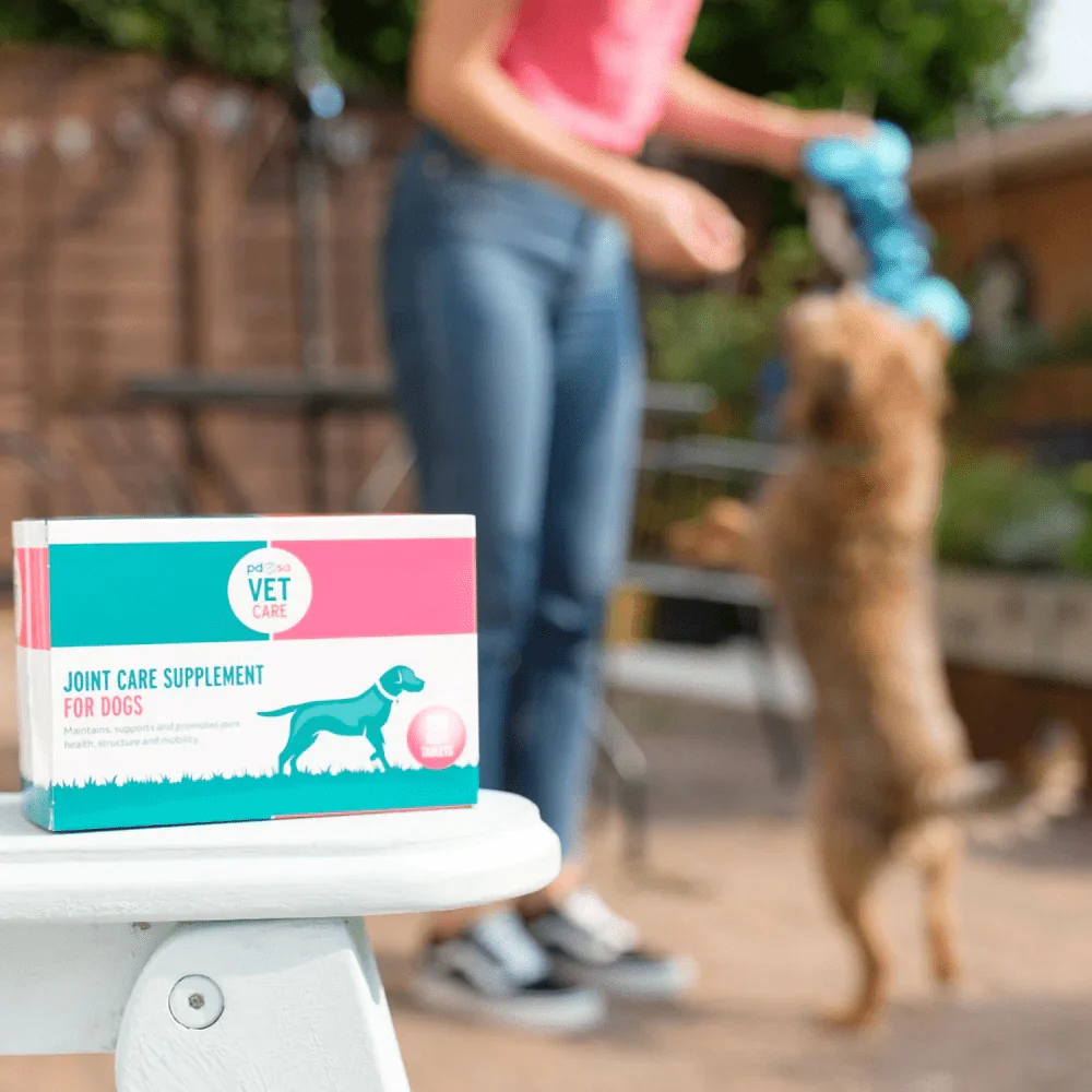 PDSA Vet Care | Dog Joint Supplements - Image 3