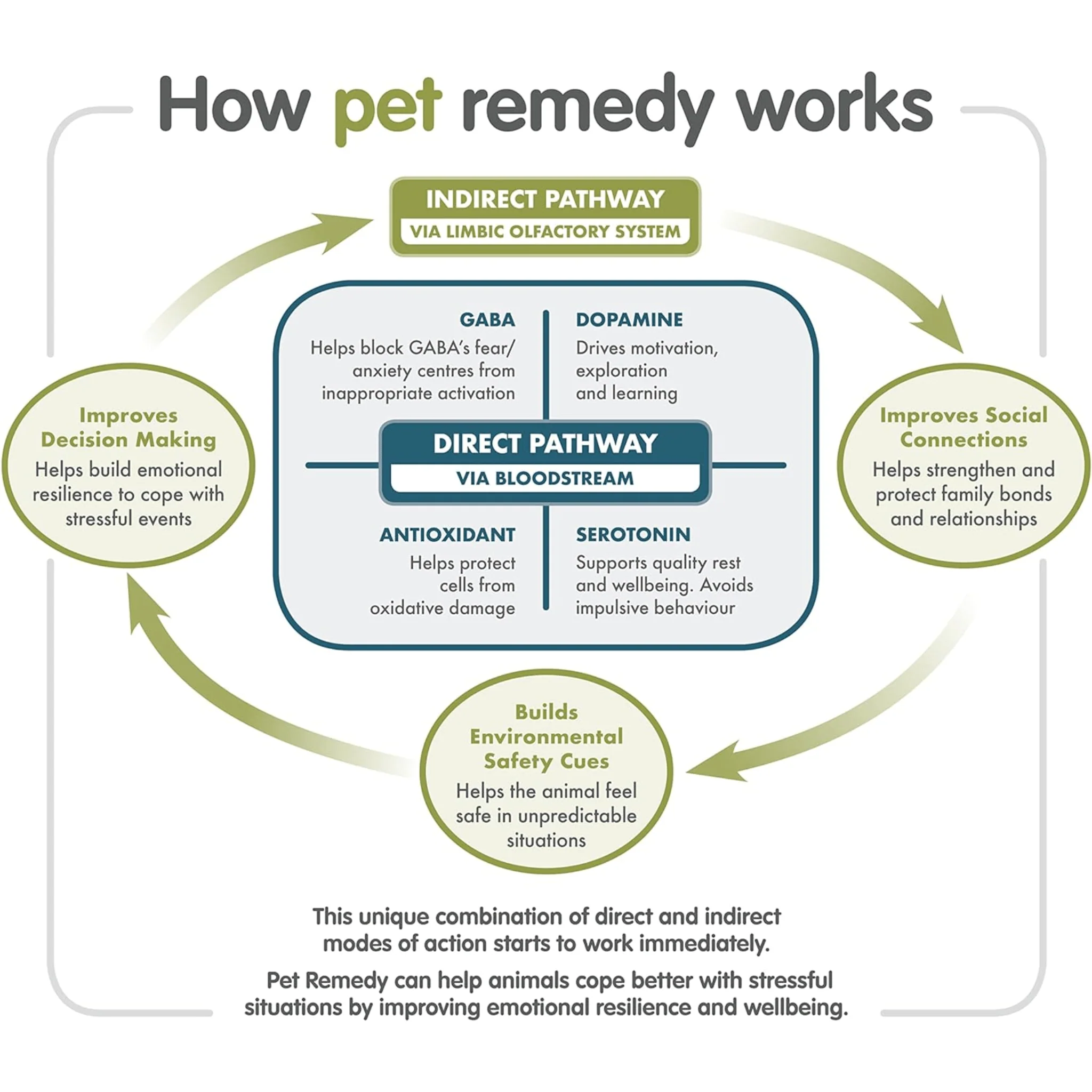 Pet Remedy Calming Spray - 200ml - Image 3